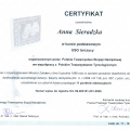 Powiększ obraz: certificate 1