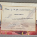 Powiększ obraz: certificate 2