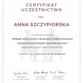 Powiększ obraz: certificate 2