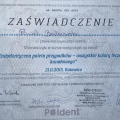 Powiększ obraz: certificate 10