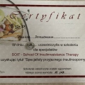 Powiększ obraz: certificate 59