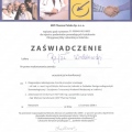 Powiększ obraz: certificate 20