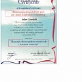 Powiększ obraz: certificate 4