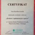 Powiększ obraz: certificate 8