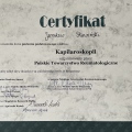 Powiększ obraz: certificate 4