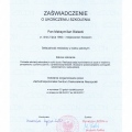Powiększ obraz: certificate 7
