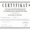 Powiększ obraz: certificate 41