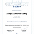 Powiększ obraz: certificate 11