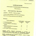Powiększ obraz: certificate 3