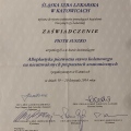 Powiększ obraz: certificate 6