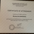 Powiększ obraz: certificate 7