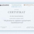 Powiększ obraz: certificate 2