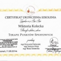 Powiększ obraz: certificate 2