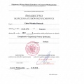 Powiększ obraz: certificate 6