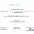 Powiększ obraz: certificate 12