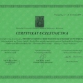 Powiększ obraz: certificate 28