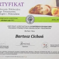 Powiększ obraz: certificate 4
