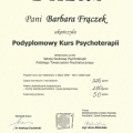 Powiększ obraz: certificate 2