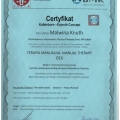 Powiększ obraz: certificate 7