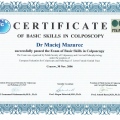 Powiększ obraz: certificate 8