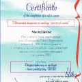 Powiększ obraz: certificate 6