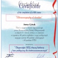 Powiększ obraz: certificate 4