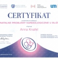 Powiększ obraz: certificate 37