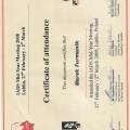 Powiększ obraz: certificate 7