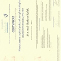 Powiększ obraz: certificate 14