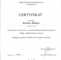 Powiększ obraz: certificate 13
