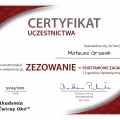 Powiększ obraz: certificate 77