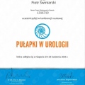 Powiększ obraz: certificate 14