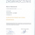 Powiększ obraz: certificate 32