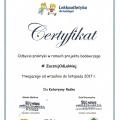 Powiększ obraz: certificate 10