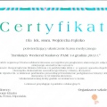 Powiększ obraz: certificate 7