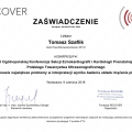 Powiększ obraz: certificate 11