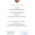 Powiększ obraz: certificate 20