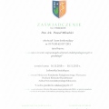 Powiększ obraz: certificate 2