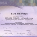Powiększ obraz: certificate 4