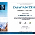 Powiększ obraz: certificate 2
