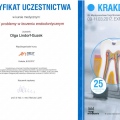 Powiększ obraz: certificate 7