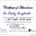 Powiększ obraz: certificate 2