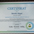 Powiększ obraz: certificate 25