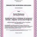 Powiększ obraz: certificate 1