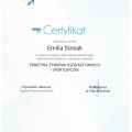 Powiększ obraz: certificate 3