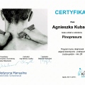Powiększ obraz: certificate 17