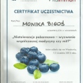 Powiększ obraz: certificate 45