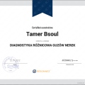 Powiększ obraz: certificate 20
