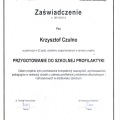 Powiększ obraz: certificate 8