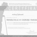 Powiększ obraz: certificate 34